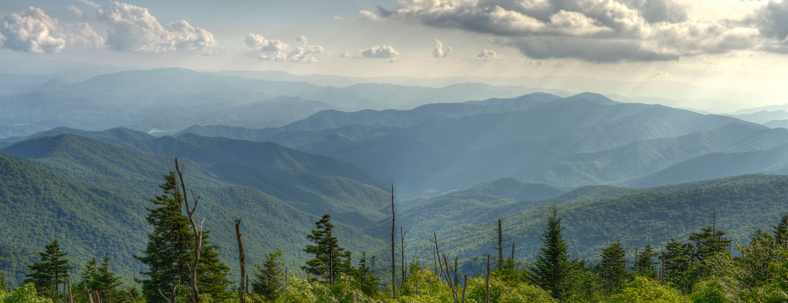 SmartGas System SmartGas System